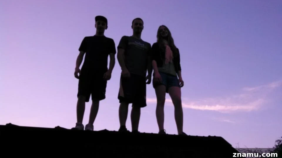 Reliving Summer 2014 9 Three brothers enjoying a leisurely summer walk together in a scenic outdoor setting.