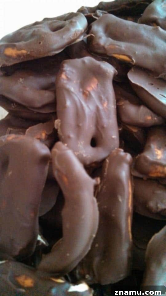Reliving Summer 2014 16 Close-up of homemade chocolate-covered pretzels, artfully drizzled and arranged on a serving dish.
