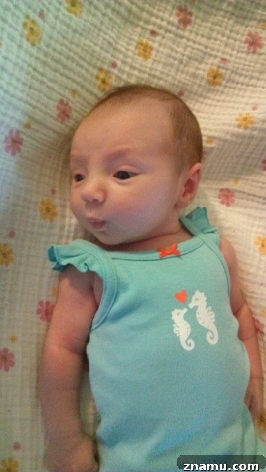 Reliving Summer 2014 20 Close-up photo of newborn baby Kaylee River, gently sleeping and swaddled.