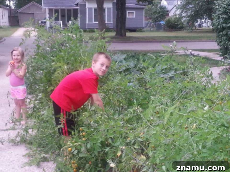 Reliving Summer 2014 24 A flourishing vegetable garden overflowing with various plants and ripe produce.