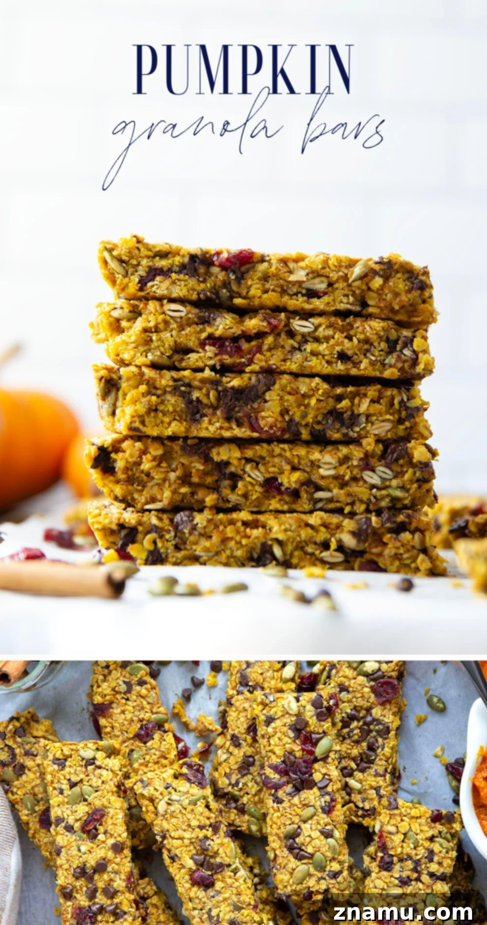 Spiced Pumpkin Oat Bars 7 An array of delicious pumpkin granola bars, neatly sliced and ready for serving, highlighting their homemade appeal and rich texture