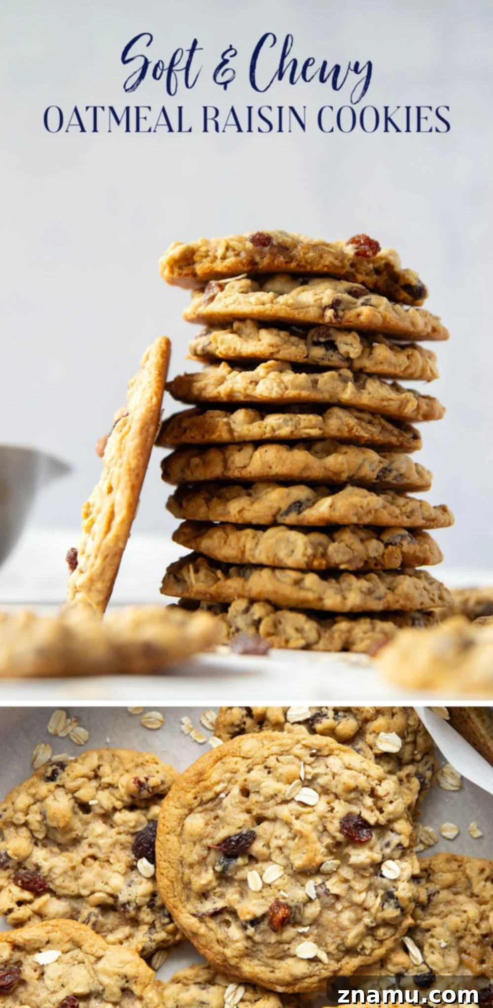 Soft & Chewy Oatmeal Raisin Bliss 7 An overhead shot of a large batch of homemade oatmeal raisin cookies, some piled high, others spread out.