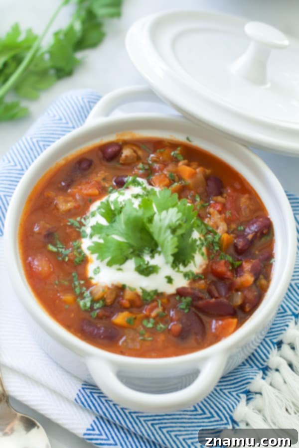 Extra-Lean Turkey Chili with Carrots and Turnips 5 Serving of Extra-lean Turkey Chili with Carrots and Turnips in a bowl