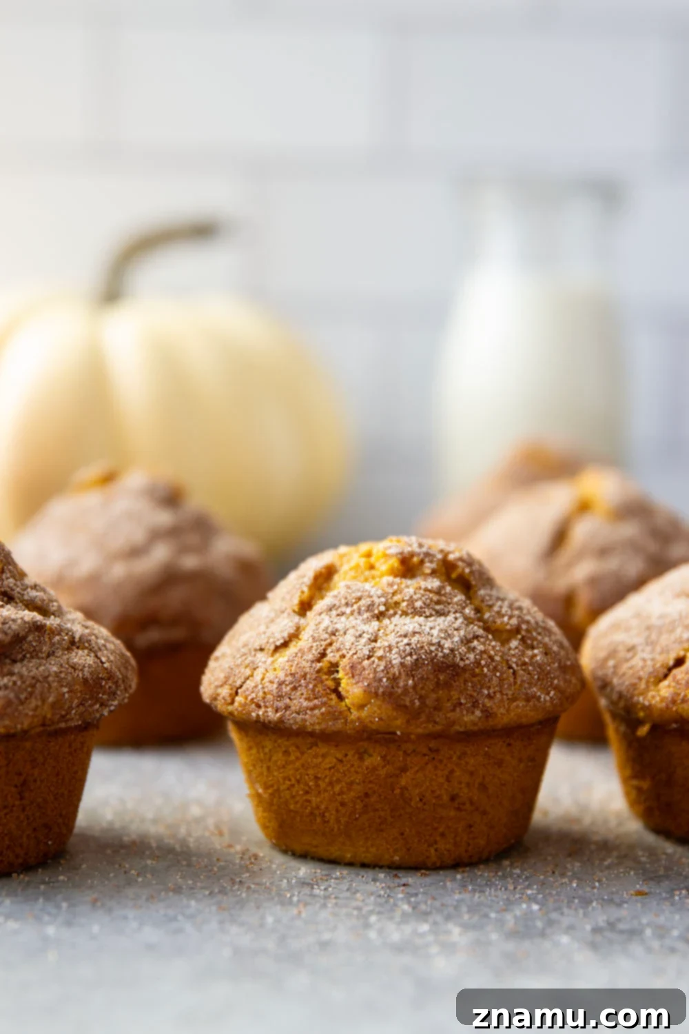Tarçın Şekerli Balkabağı Muffin 2 Super soft pumpkin snickerdoodle muffins topped with cinnamon sugar, perfect for fall