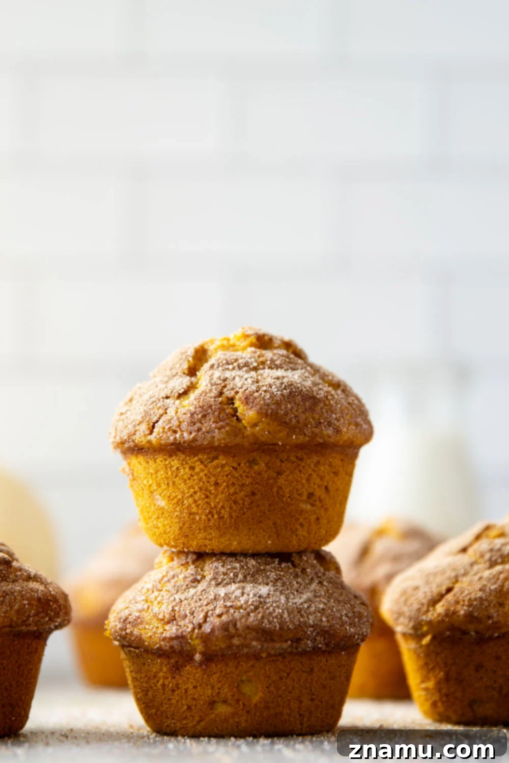Tarçın Şekerli Balkabağı Muffin 5 A side view of a pumpkin snickerdoodle muffin, showcasing its height and cinnamon sugar topping
