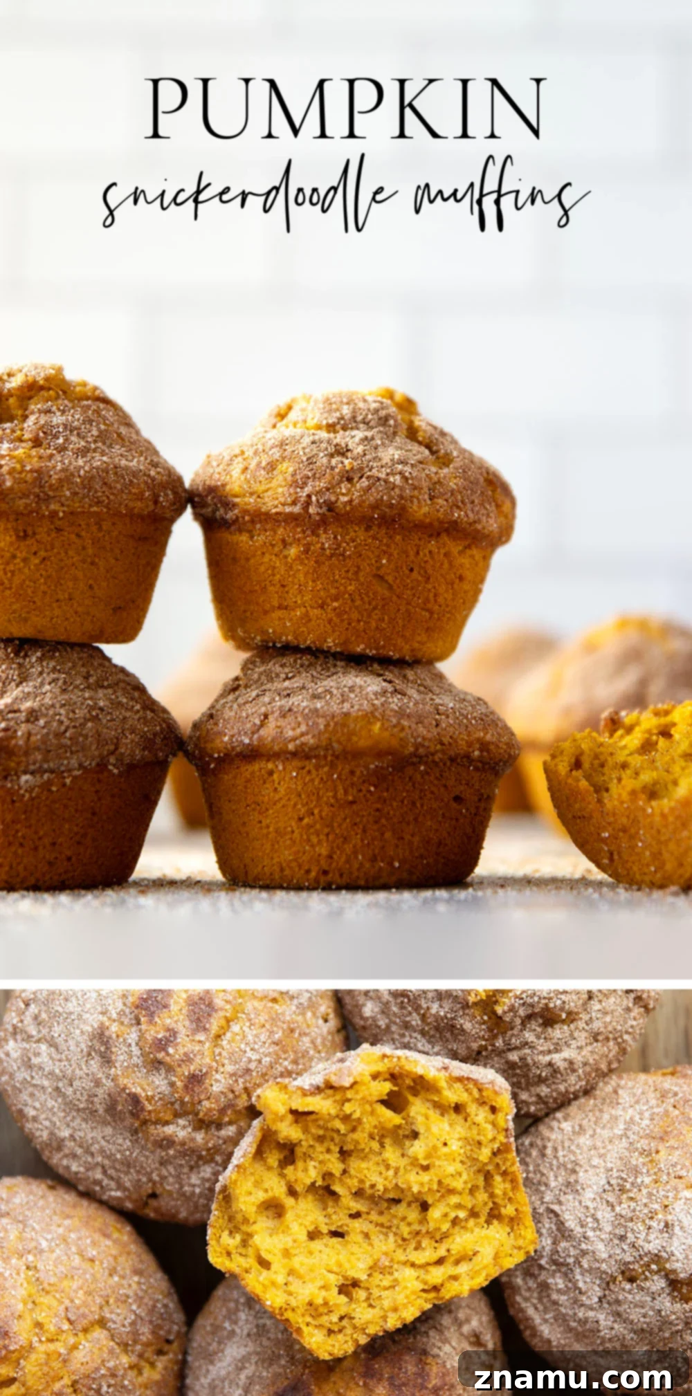 Tarçın Şekerli Balkabağı Muffin 7 Overhead view of several pumpkin snickerdoodle muffins with a rustic fall background