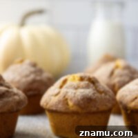 Tarçın Şekerli Balkabağı Muffin 8 Pumpkin muffins and snickerdoodles collide in these super soft pumpkin snickerdoodle muffins that are packed with pumpkin and lots of cinnamon sugar on top.