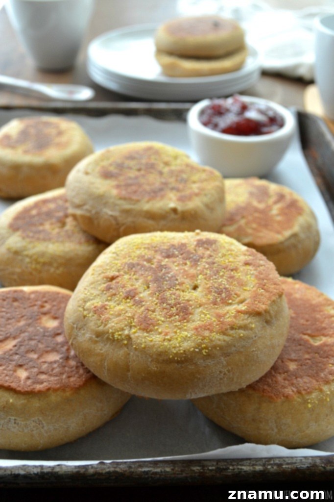 Perfect Homemade English Muffins 3 A close-up of a homemade English muffin, revealing its perfect nooks and crannies
