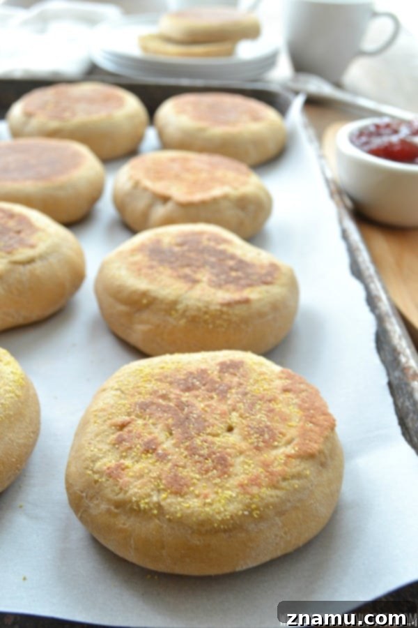Perfect Homemade English Muffins 5 Ingredients for homemade English muffins laid out on a kitchen counter