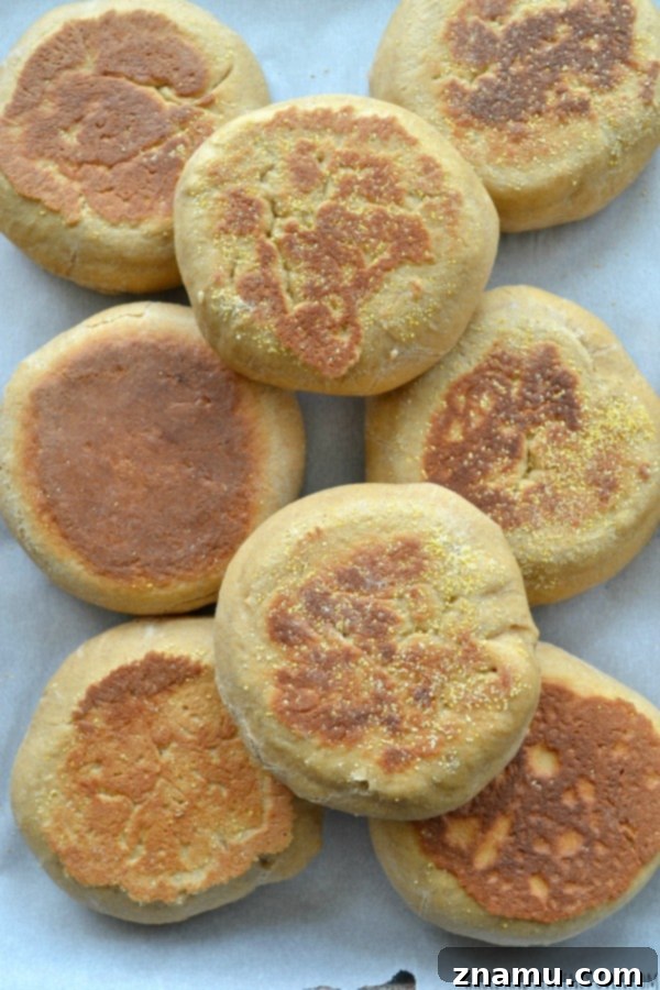 Perfect Homemade English Muffins 7 Golden brown homemade English muffins cooking on a griddle, sprinkled with cornmeal