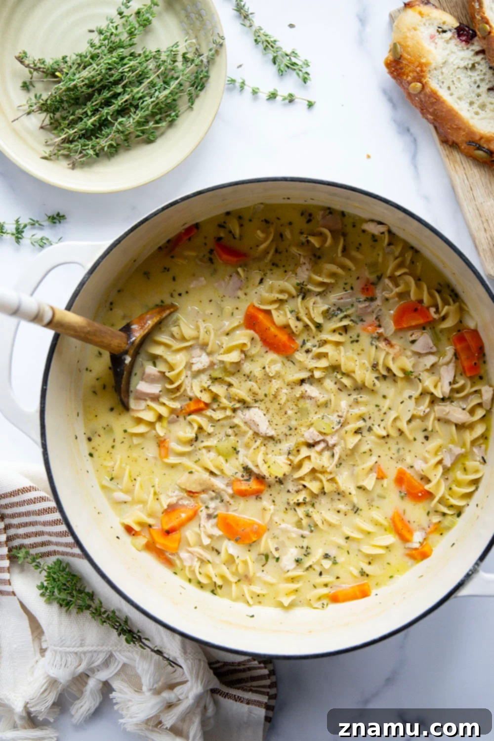 Velvety Chicken Noodle Soup 2 A comforting bowl of creamy chicken noodle soup with fresh parsley garnish.