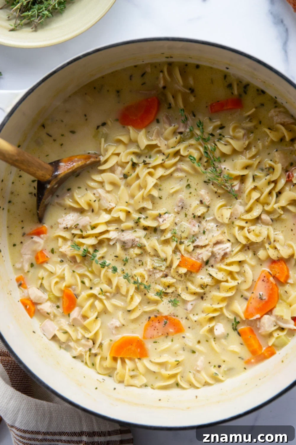 Velvety Chicken Noodle Soup 4 Overview of ingredients for creamy chicken noodle soup: chicken, noodles, vegetables, and cream.