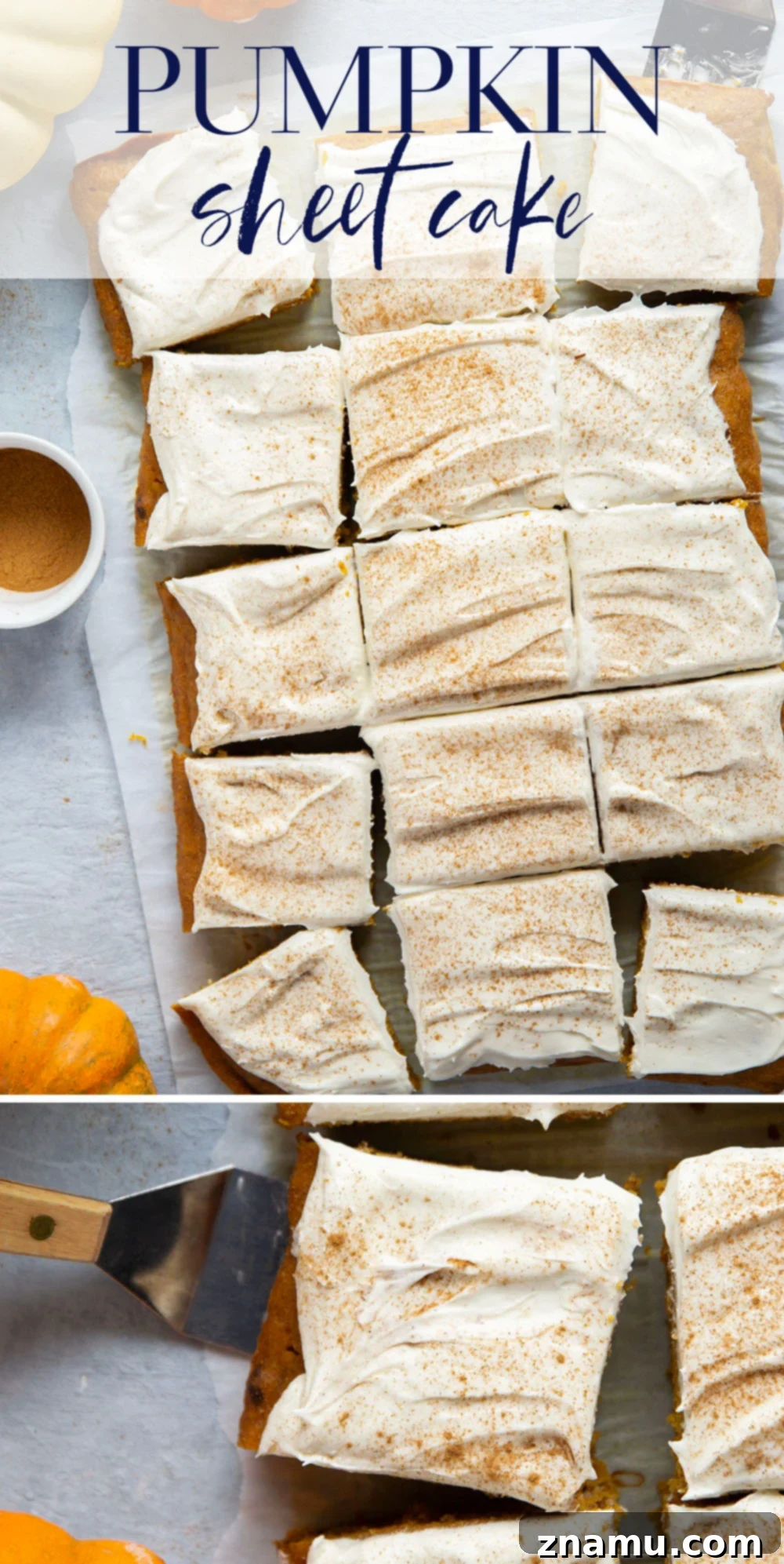 Spiced Pumpkin Sheet Cake 7 Creamy pumpkin and plenty of fall spices shine through in this super soft pumpkin sheet cake that gets frosted in a silky cream cheese frosting and is big enough to serve a crowd.