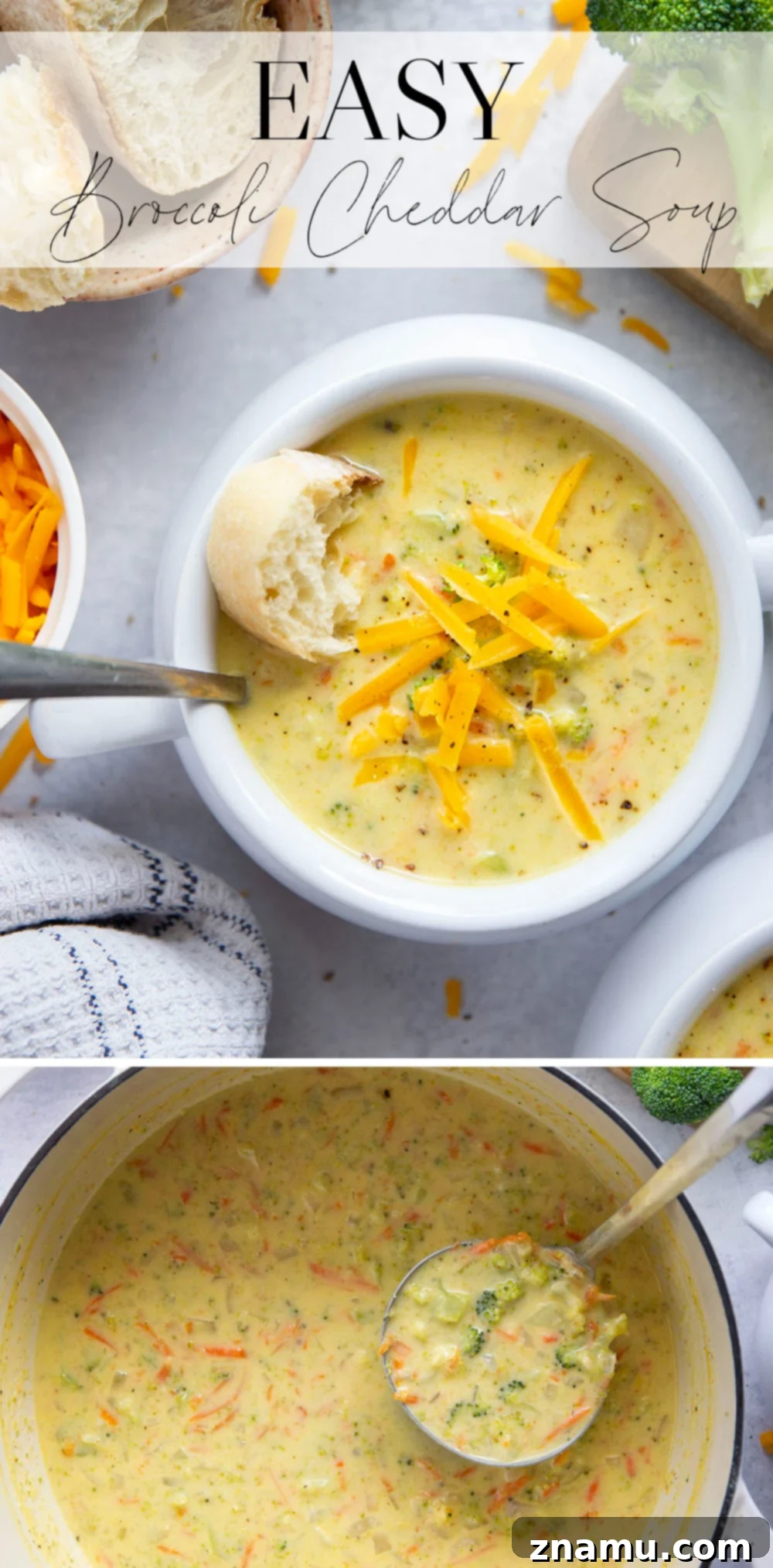 Quick and Creamy Broccoli Cheddar Soup 7 A beautifully styled shot of a single serving of broccoli cheddar soup, garnished with a sprinkle of cheese and fresh parsley, perfect for a cozy meal.