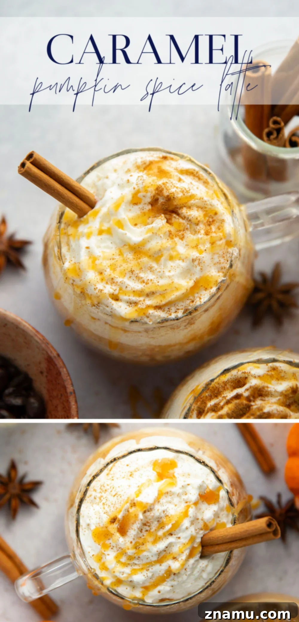 Golden Pumpkin Swirl Latte 7 An overhead shot of a Caramel Pumpkin Spice Latte, beautifully styled with fall decorations, emphasizing its rich texture.