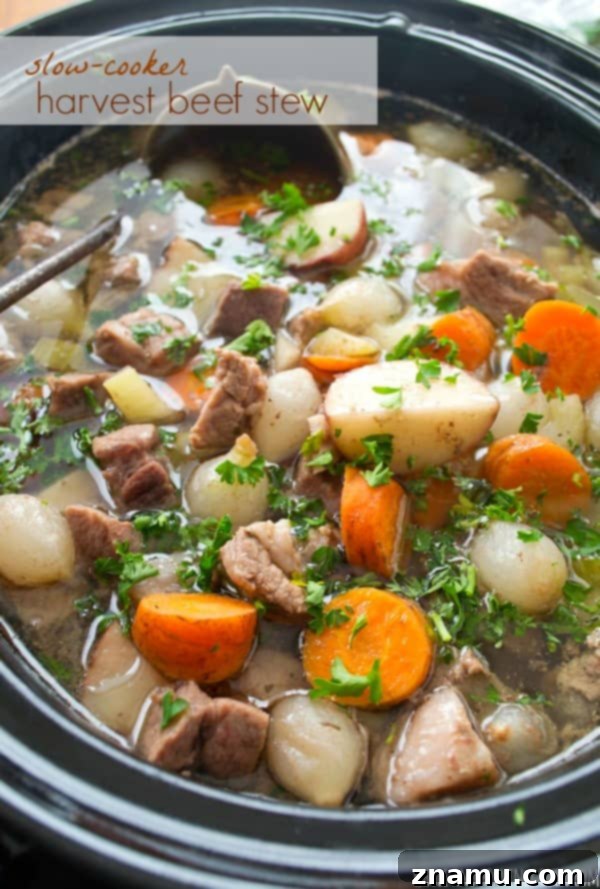 Comforting Slow-Cooker Harvest Beef Stew 2 Hearty slow cooker beef stew with tender beef and autumn vegetables, perfect for a cozy winter evening.