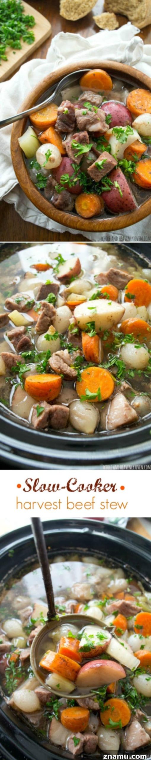 Comforting Slow-Cooker Harvest Beef Stew 7 Overhead view of a large pot of slow cooker beef stew, rich in color and texture.