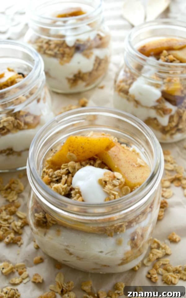 Spiced Apple Granola Stacks 5 Freshly prepared Caramelized Apple Granola Parfaits