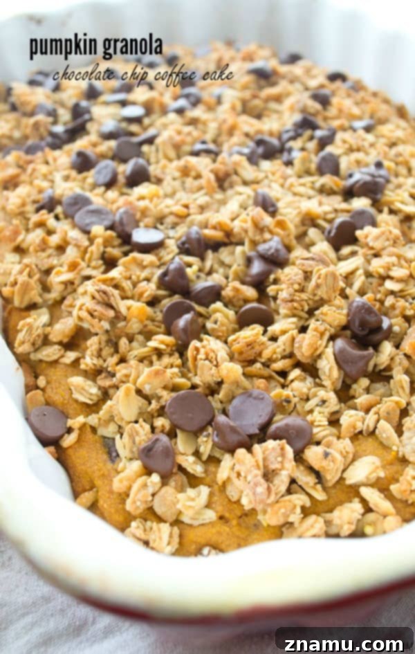 Spiced Pumpkin Coffee Cake with Granola Streusel and Chocolate Chips 2 Luscious pumpkin coffee cake with chocolate chips and crunchy granola streusel
