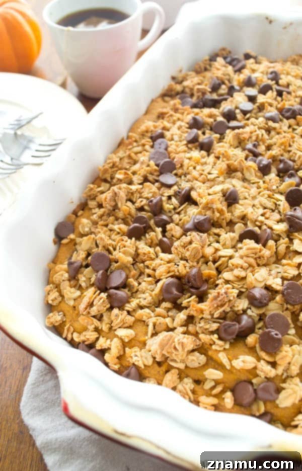 Spiced Pumpkin Coffee Cake with Granola Streusel and Chocolate Chips 3 Close-up of moist pumpkin coffee cake with chocolate chips and streusel
