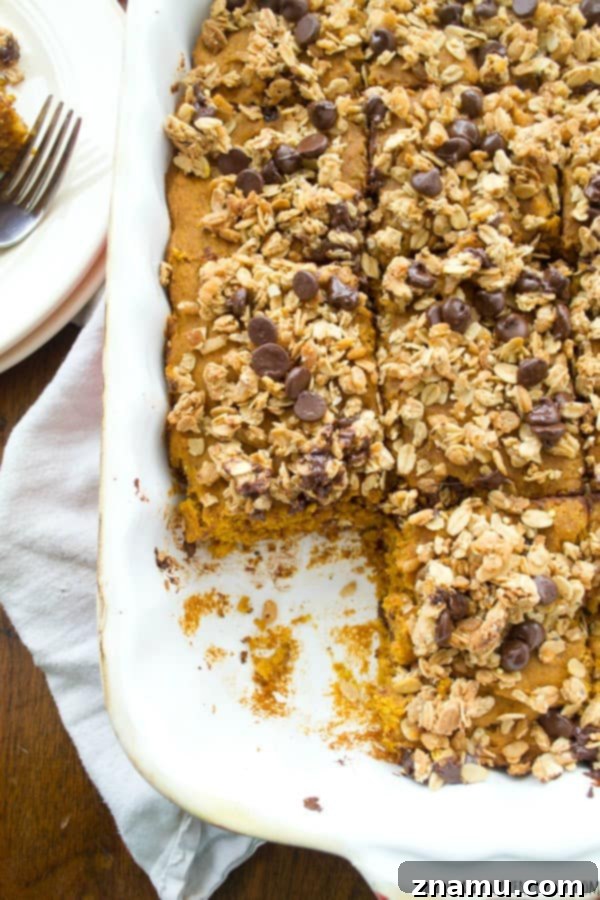 Spiced Pumpkin Coffee Cake with Granola Streusel and Chocolate Chips 4 Slice of pumpkin chocolate chip coffee cake with granola topping