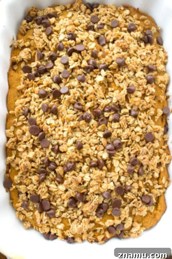Spiced Pumpkin Coffee Cake with Granola Streusel and Chocolate Chips 6 Overhead view of a whole pumpkin granola chocolate chip coffee cake