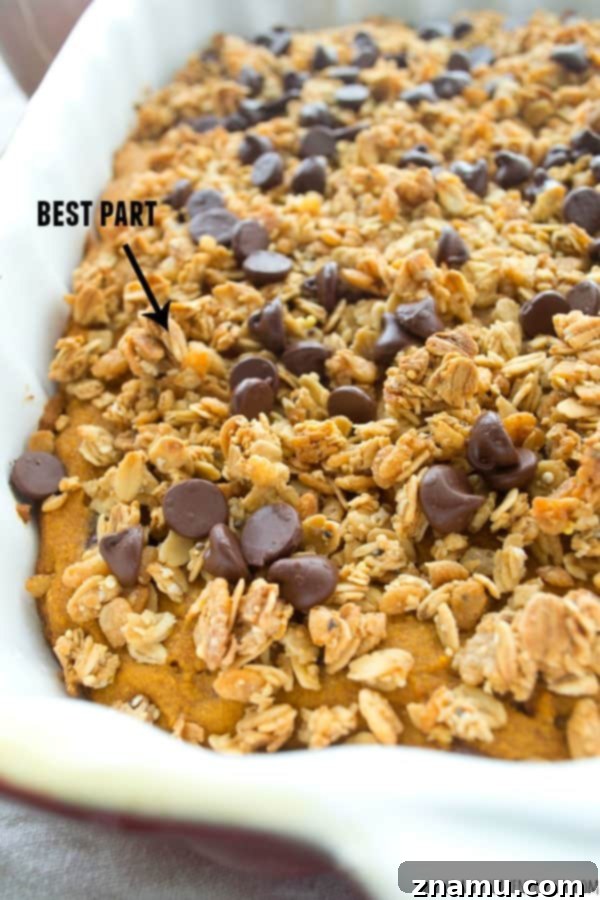 Spiced Pumpkin Coffee Cake with Granola Streusel and Chocolate Chips 7 Serving of pumpkin chocolate chip coffee cake on a plate