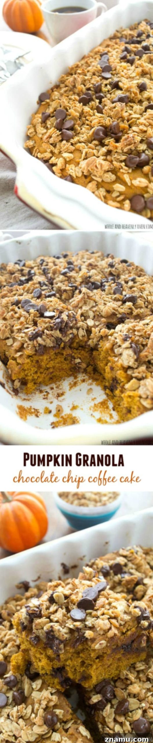 Spiced Pumpkin Coffee Cake with Granola Streusel and Chocolate Chips 8 Full shot of pumpkin chocolate chip coffee cake with granola streusel
