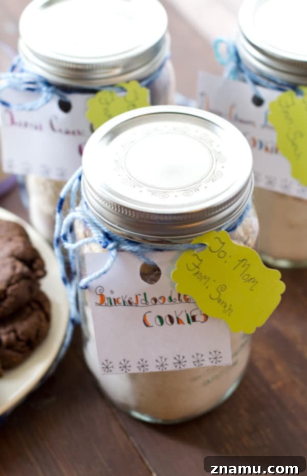 Three Delicious Homemade Cookie Mix Recipes 3 A selection of three different homemade cookie types, showcasing the variety of these quick cookie mixes.