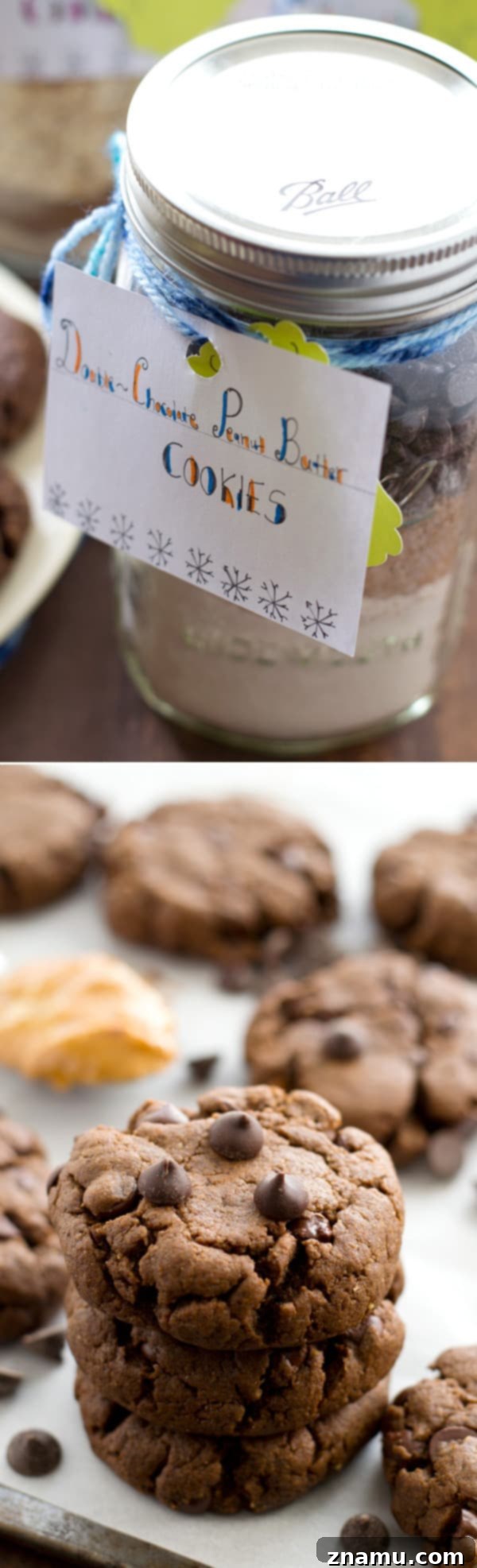 Three Delicious Homemade Cookie Mix Recipes 7 Close-up of Double-Chocolate Peanut Butter Cookies, rich with chocolate chips and peanut butter swirls.