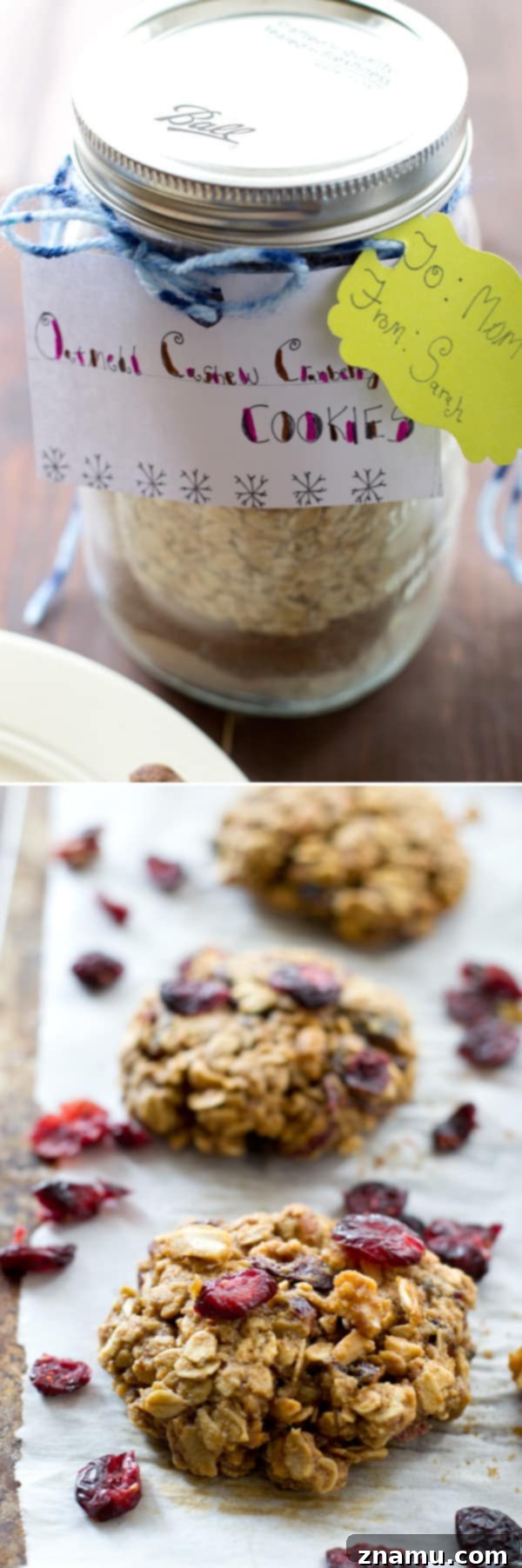 Three Delicious Homemade Cookie Mix Recipes 8 Close-up of Old-Fashioned Oatmeal Cashew Cranberry Cookies, showing their golden crust and texture.