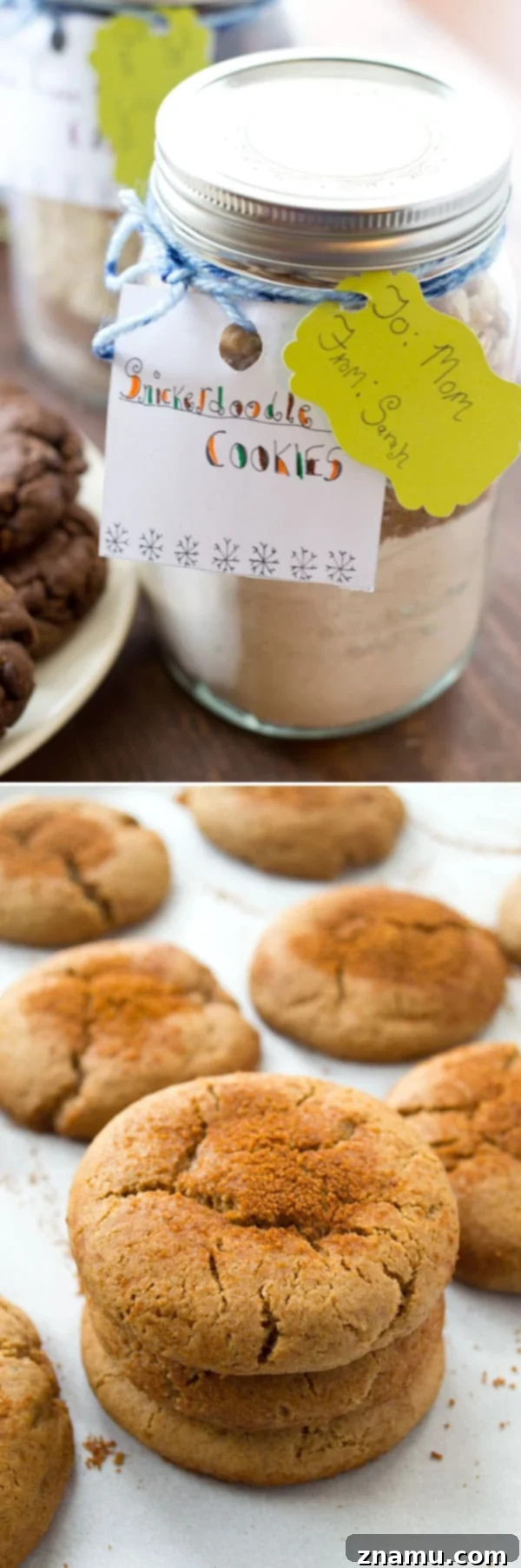 Three Delicious Homemade Cookie Mix Recipes 9 Warm, classic Snickerdoodle cookies dusted with cinnamon sugar, ready to be enjoyed.