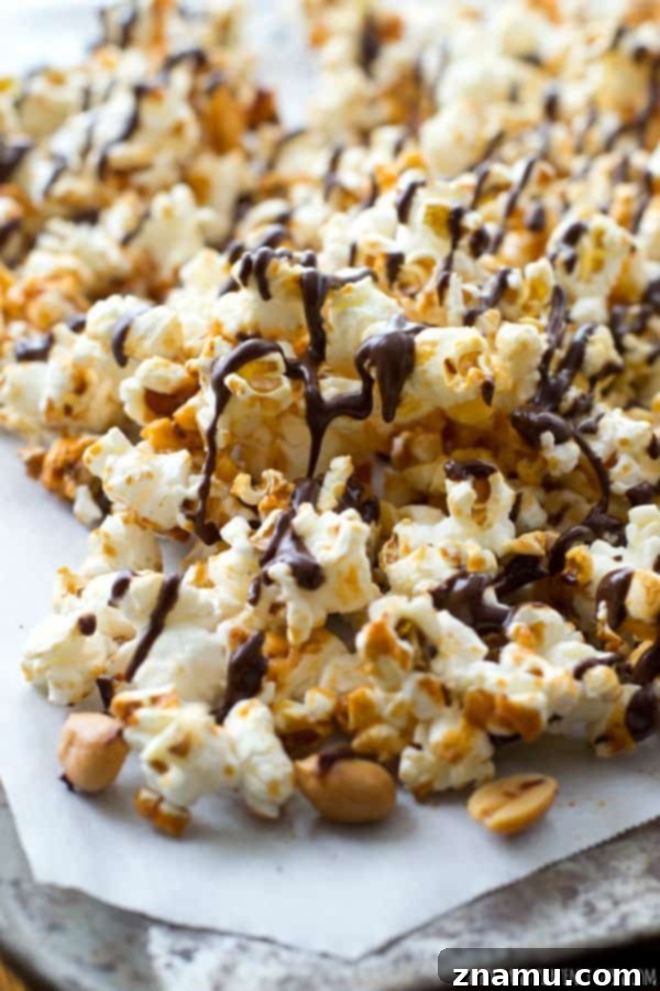 Chocolate Peanut Caramel Popcorn Crunch 6 Festive chocolate-covered caramel popcorn with peanuts