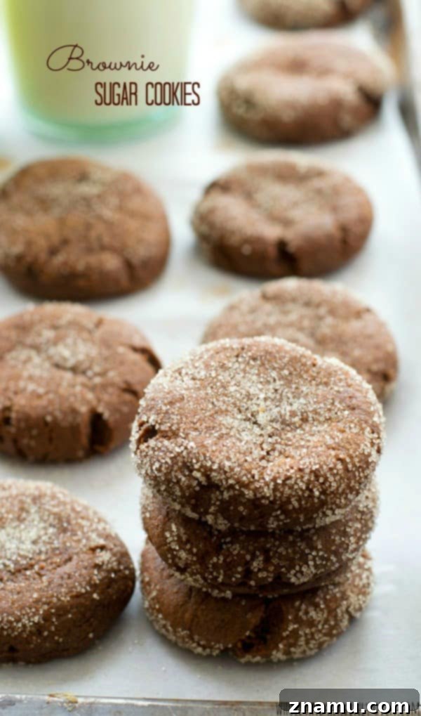 Brownie Sugar Cookie Fusion 2 Deliciously fudgy Brownie Sugar Cookies, a perfect chocolate treat for any occasion, especially holidays!