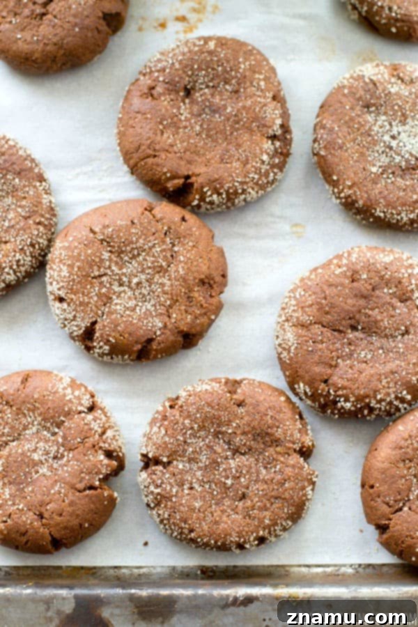 Brownie Sugar Cookie Fusion 3 Close-up of freshly baked Brownie Sugar Cookies with crackly tops, covered in sparkling sugar.