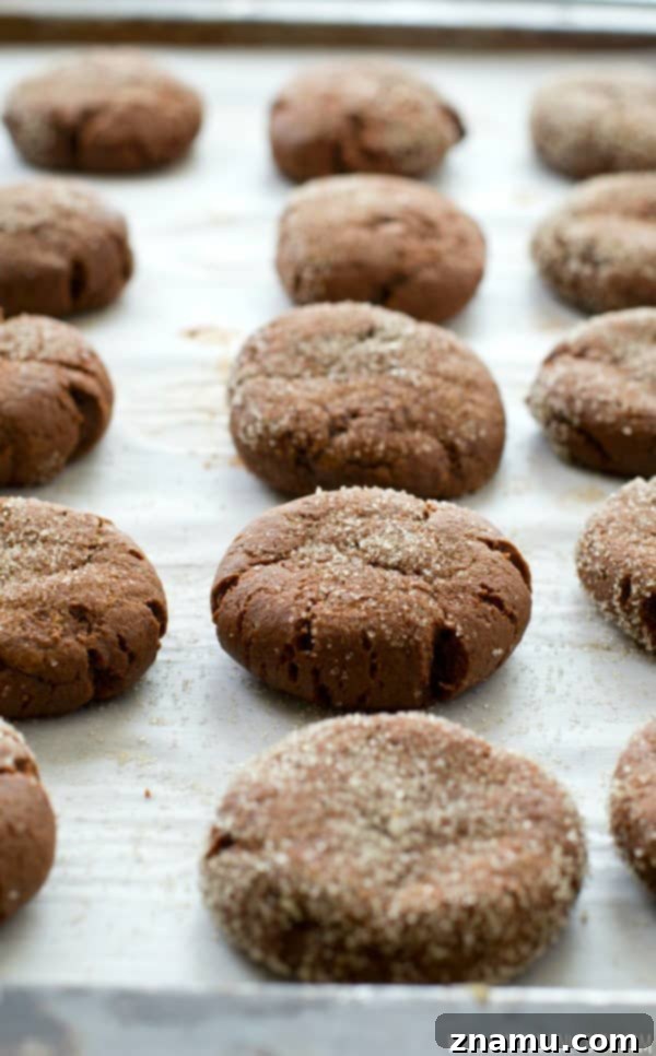 Brownie Sugar Cookie Fusion 6 Irresistible Brownie Sugar Cookies arranged in a wooden bowl, ready for a cozy snack.