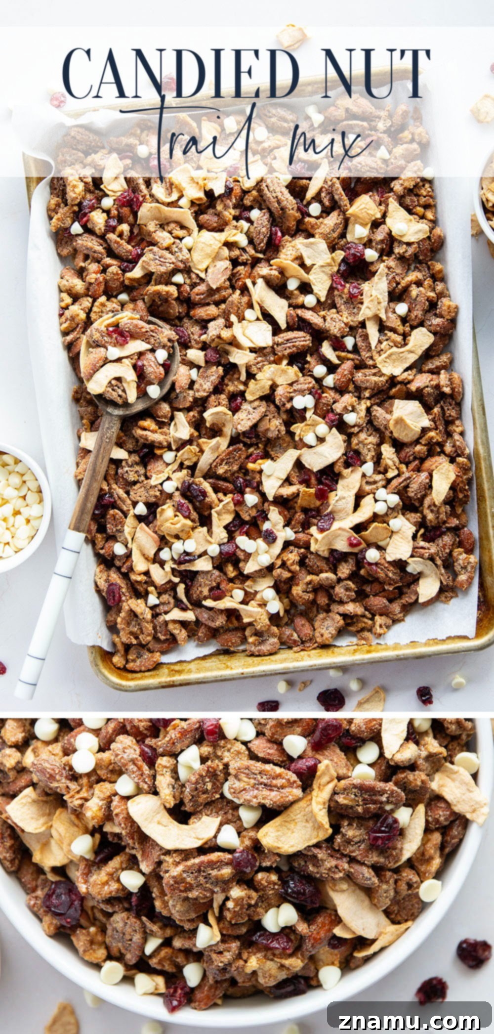 Sweet & Tangy Orchard Crunch 7 A final, enticing image of the Candied Nut Cranberry-Apple Snack Mix, showcasing its tempting appeal.