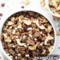 Sweet & Tangy Orchard Crunch 8 Candied Nut Cranberry-Apple Snack Mix