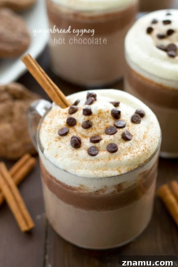 Festive Gingerbread Nog Cocoa 2 Rich Eggnog Gingerbread Hot Chocolate topped with whipped cream and spices, perfect for winter coziness