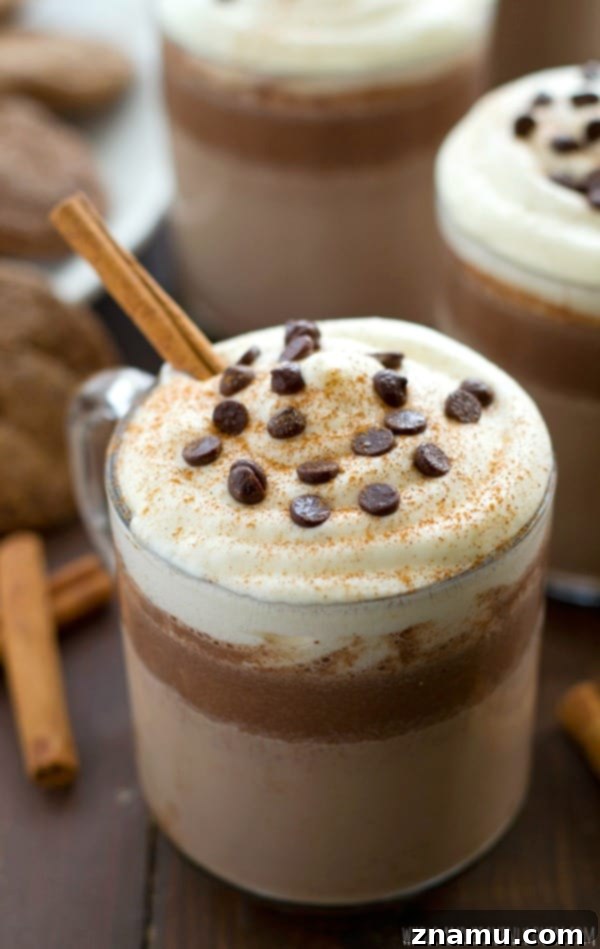 Festive Gingerbread Nog Cocoa 7 Closeup of Eggnog Gingerbread Hot Chocolate with abundant whipped cream and chocolate chips