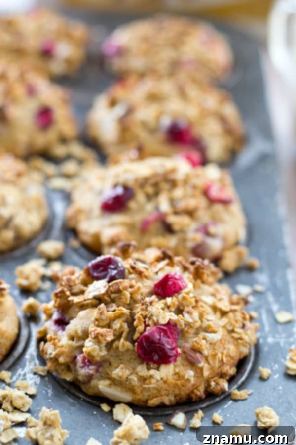 Spiced Eggnog Cranberry Crumb Muffins 3 Close-up of fluffy cranberry eggnog muffins topped with golden granola streusel, showcasing their irresistible texture.