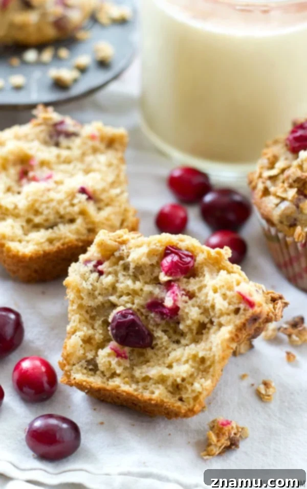 Spiced Eggnog Cranberry Crumb Muffins 4 A plate of freshly baked Cranberry Eggnog Coffee Cake Muffins, with one broken open to reveal its moist interior.