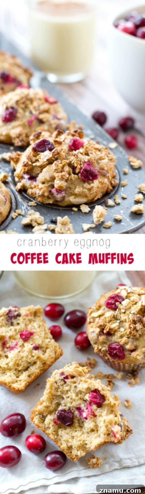 Spiced Eggnog Cranberry Crumb Muffins 7 A stunning stack of Cranberry Eggnog Coffee Cake Muffins, perfect for holiday gatherings or a festive breakfast.