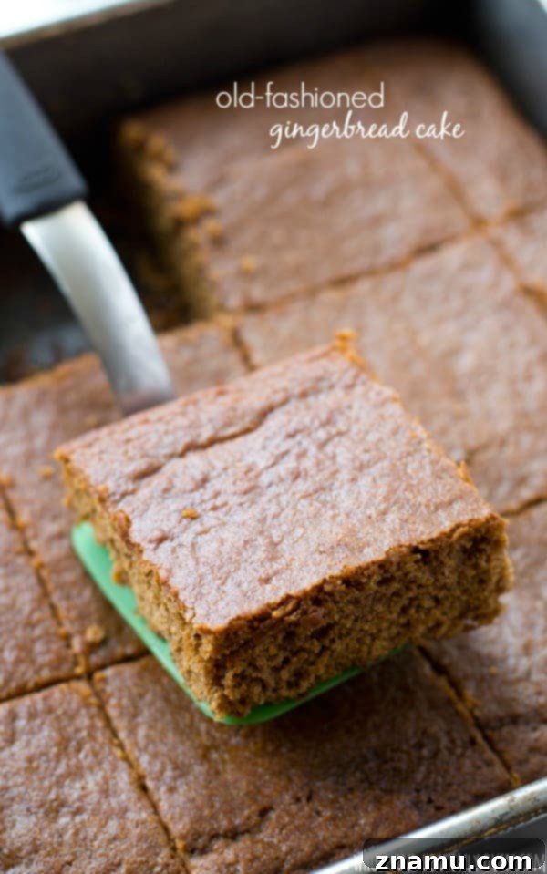 2014's Most Memorable Meals 8 Moist, old-fashioned gingerbread is a must around the holidays! This simple cake is heavenly warm with whipped cream and chopped candied nuts on top. @WholeHeavenly