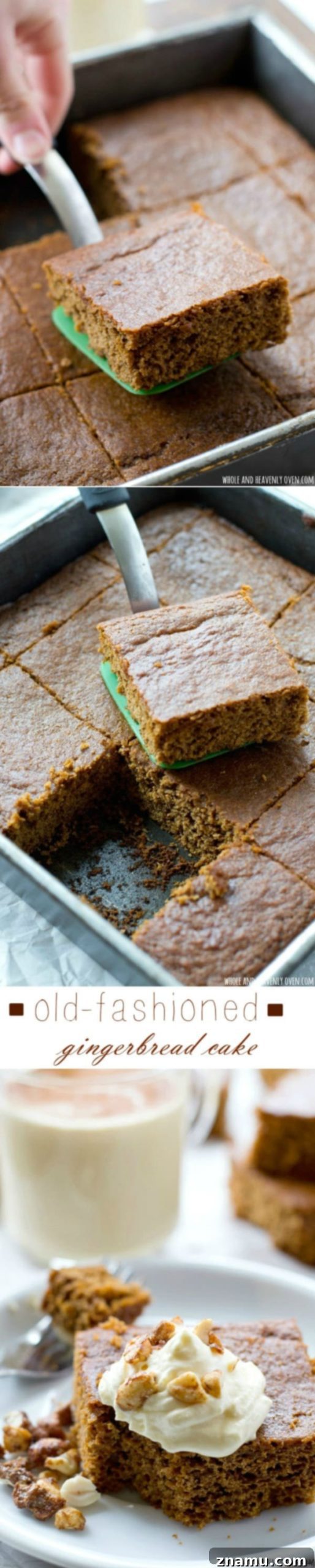Grandma's Gingerbread Cake 8 A delicious slice of moist old-fashioned gingerbread cake with a dollop of whipped cream and candied nuts. @WholeHeavenly
