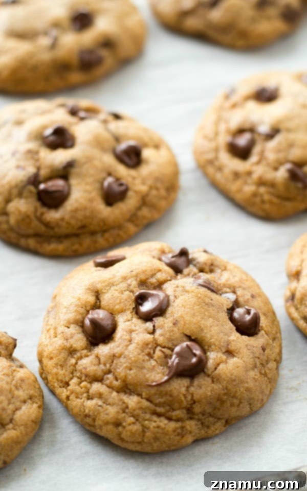 Tropical Chocolate Chip Cookies 3 These classic chocolate chip cookies are seriously so thick and chewy you'd never guess that they're made healthy with coconut oil and contain NO butter! @WholeHeavenly