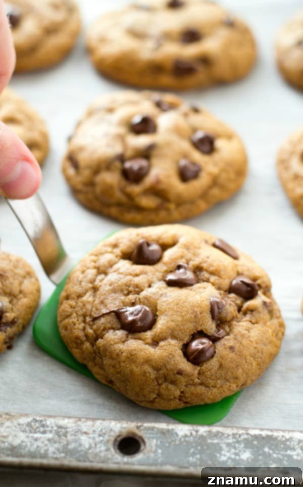 Tropical Chocolate Chip Cookies 9 These classic chocolate chip cookies are seriously so thick and chewy you'd never guess that they're made healthy with coconut oil and contain NO butter! @WholeHeavenly