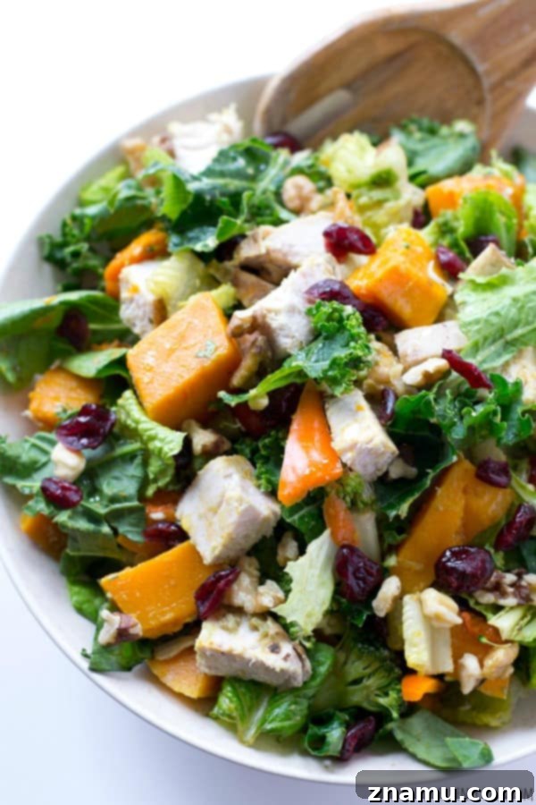 Harvest Gold Turkey Toss 4 A serving of the healthy Butternut Squash Turkey Tossed Salad, ready to be enjoyed.