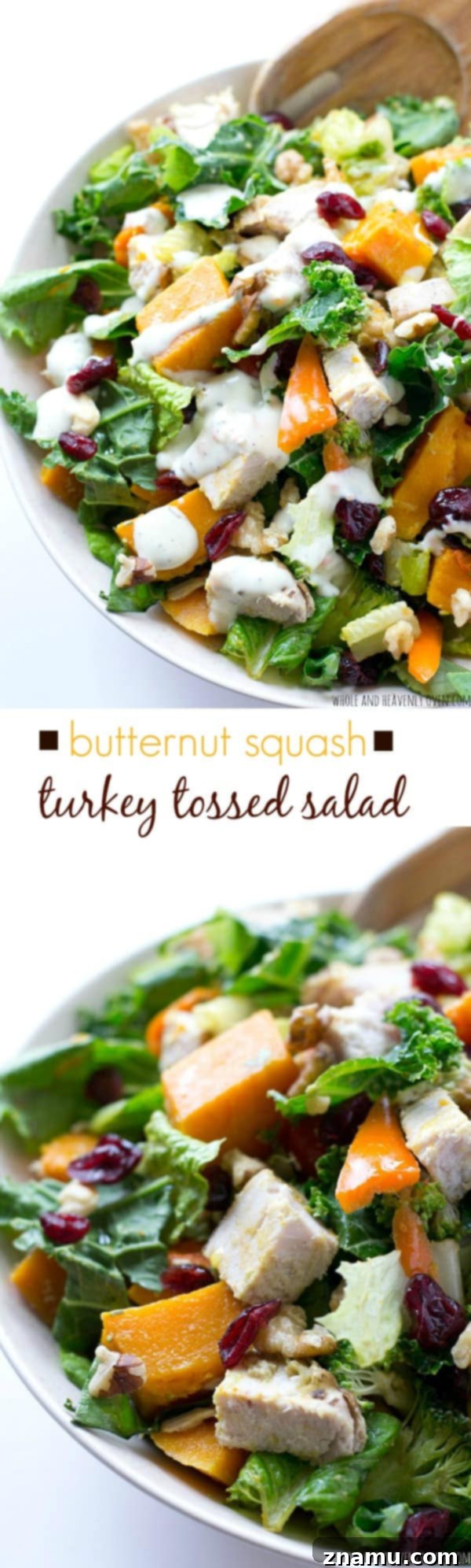 Harvest Gold Turkey Toss 10 Full plate of Butternut Squash Turkey Tossed Salad, ready to be enjoyed.