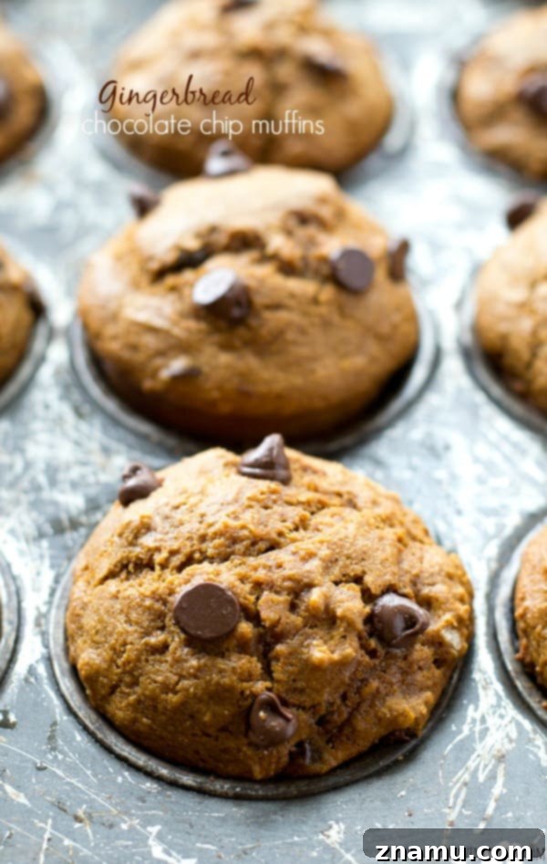 Cozy Gingerbread Chocolate Chip Muffins 2 Deliciously moist gingerbread chocolate chip muffins, a perfect breakfast or snack treat from Whole Heavenly Oven.